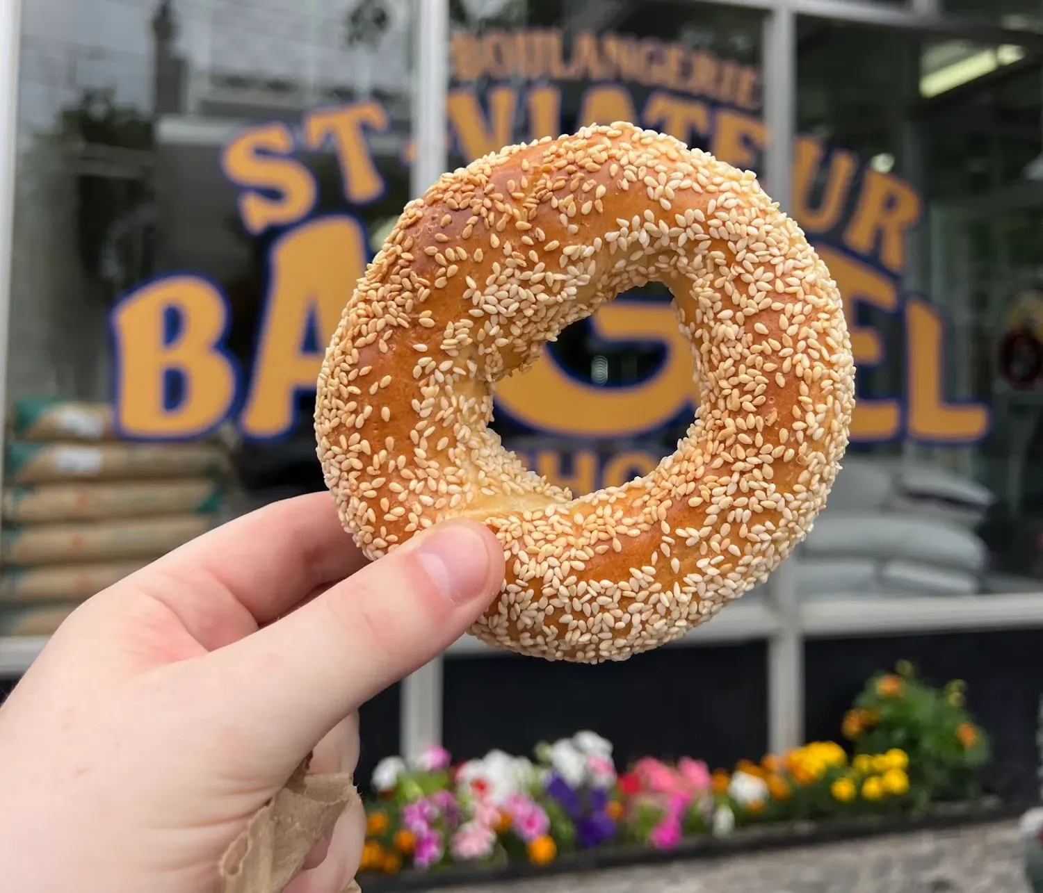 St-Viateur bagel